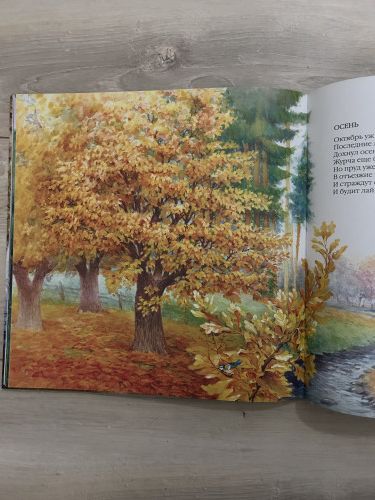 Времена года