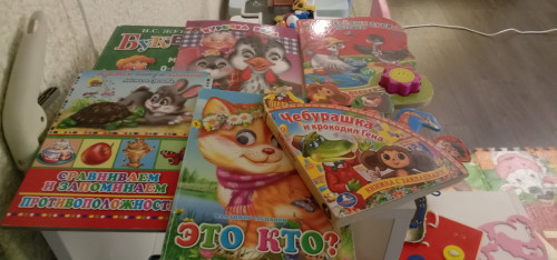 У меня много книг! 