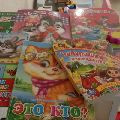 У меня много книг! 